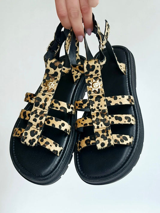 Spartiates soleil Léopard