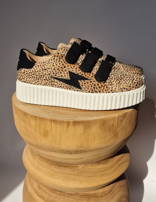 Vanessa Wu Ava Lightning Leopard Print and Black Velcro Sneakers