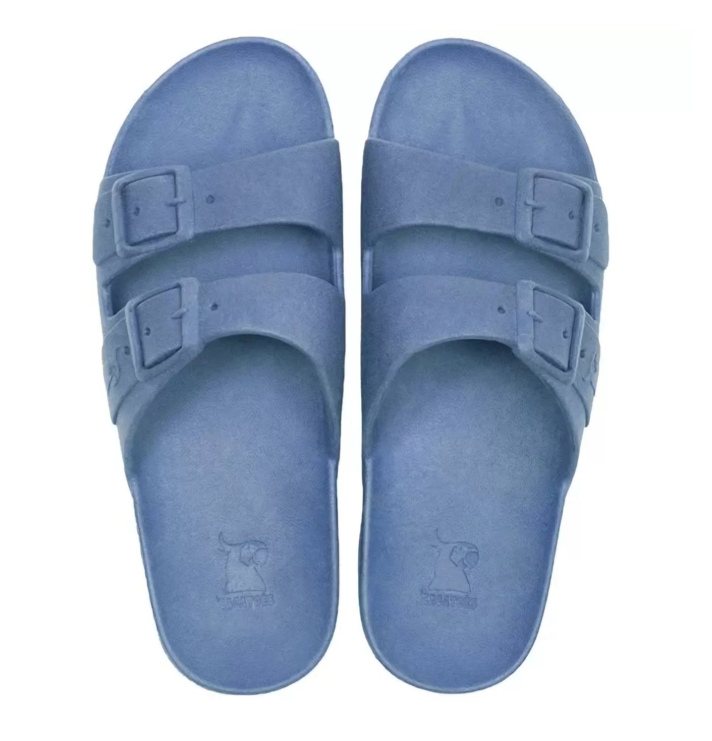 Cacatoès Bleu Jean