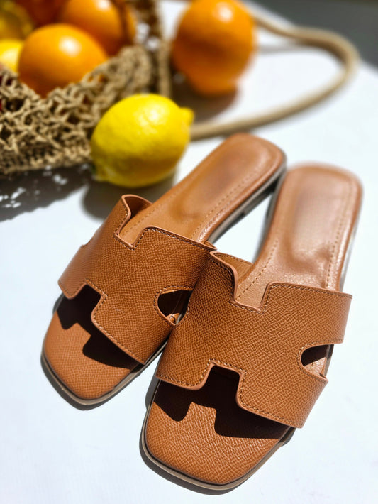 Mules H Camel
