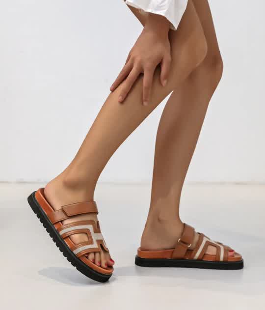 Mules H scratch Camel